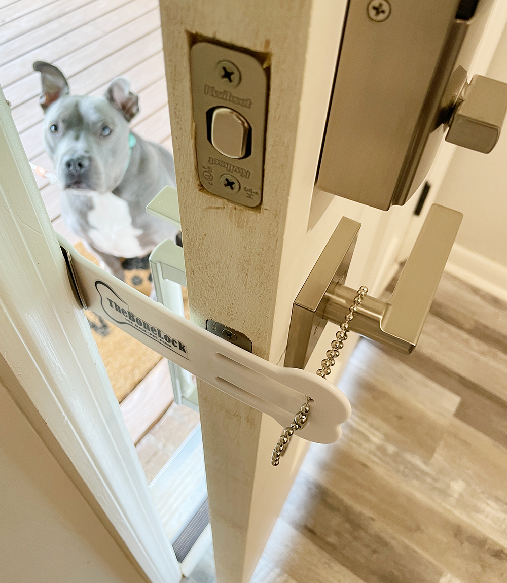 Our favorite dog from TheBoneLock - pets fixed latch door buddy - alternative to pet door