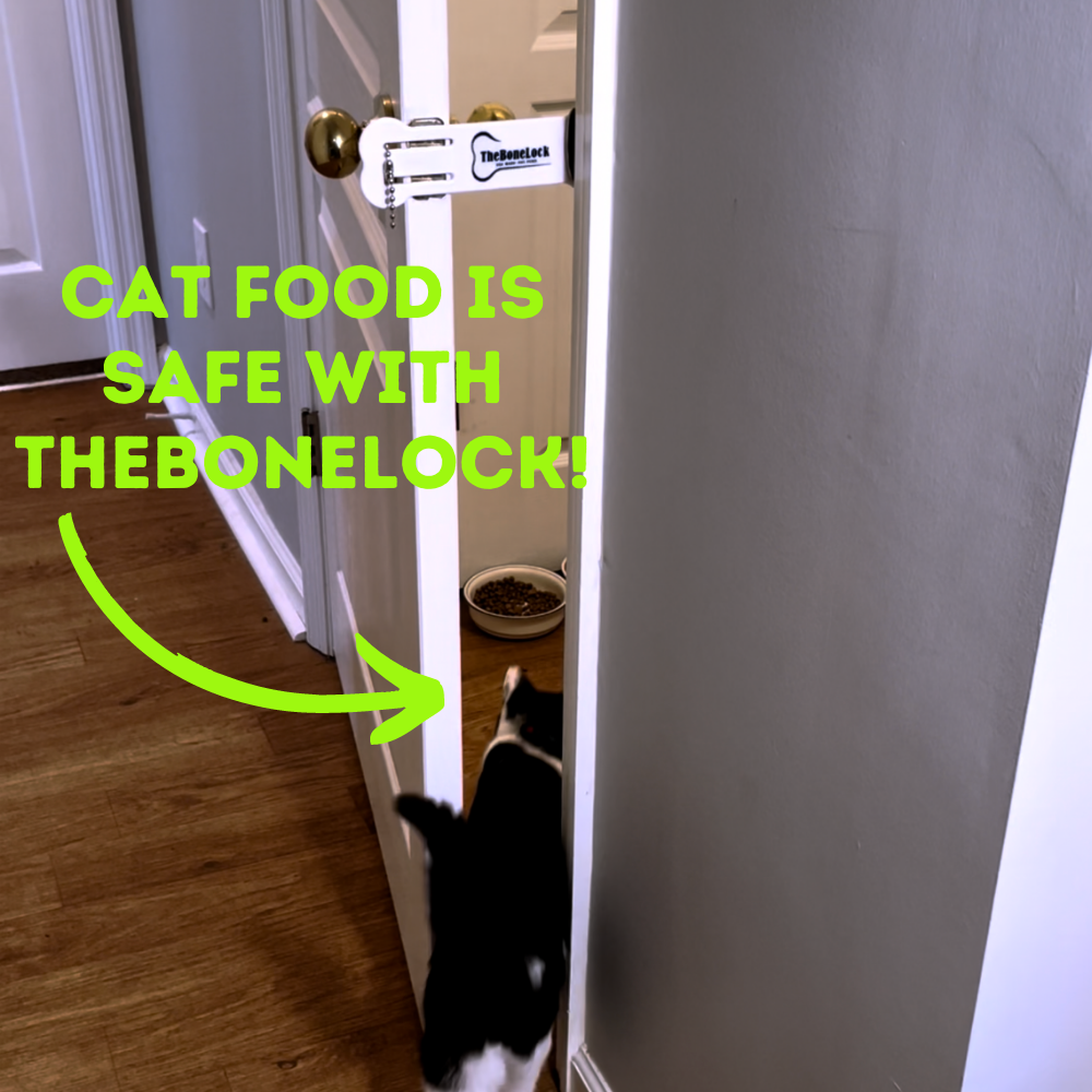 Perfect Tool For Keeping The Dog Out Letting The Cat In