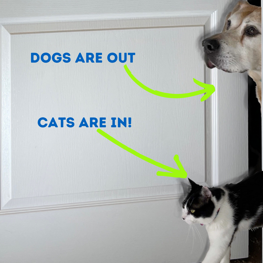 Gate to keep dogs out but let cats in best sale